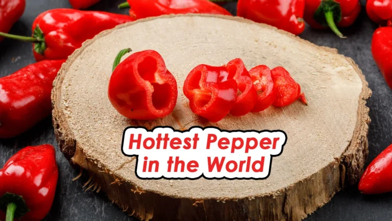 Hottest-Pepper-in-the-World