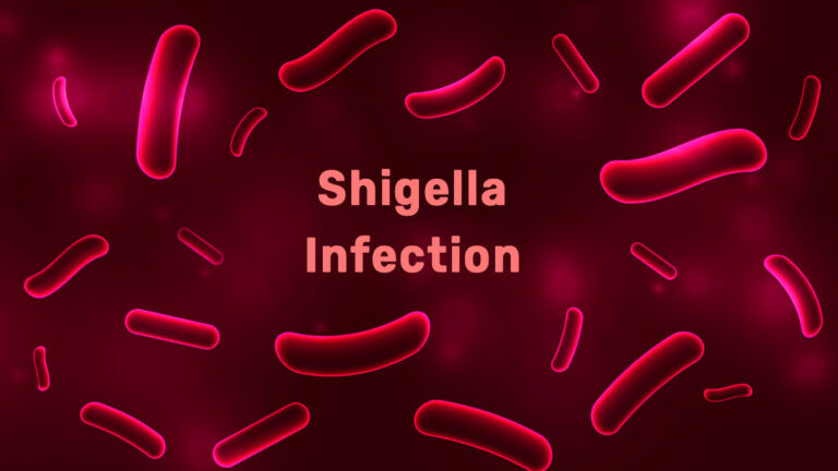 what-is-shigella
