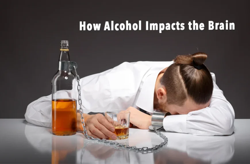 How-Alcohol-Impacts-the-Brain