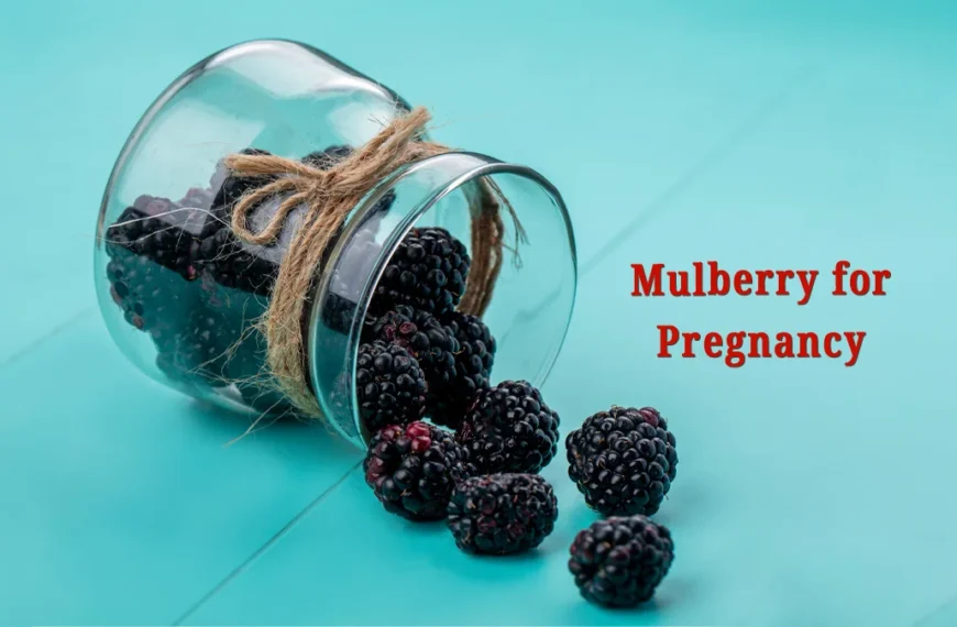 Mulberry-for-Pregnancy