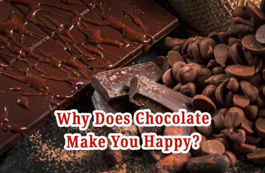 chocolate-make-you-happy