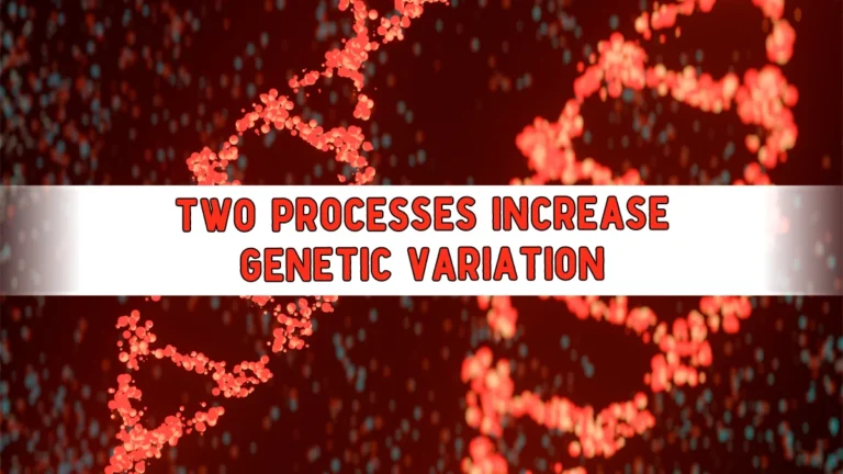 increase-genetic-variation